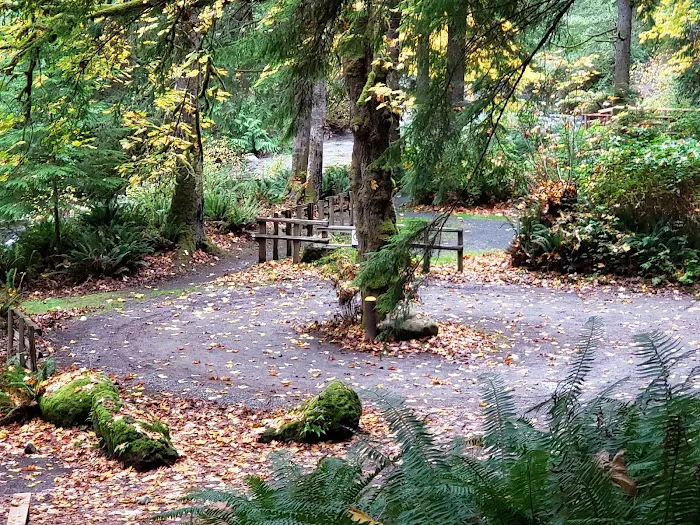 Lyre River Campground Picture 6