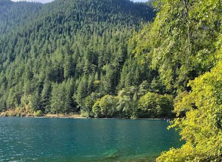 Fairholme Campground