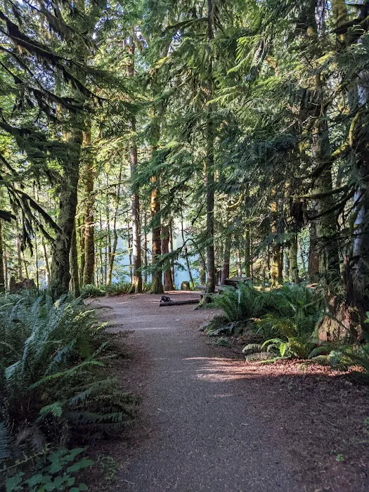Fairholme Campground Picture 5
