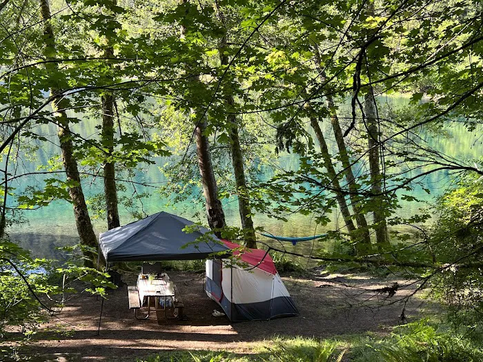 Fairholme Campground Picture 7