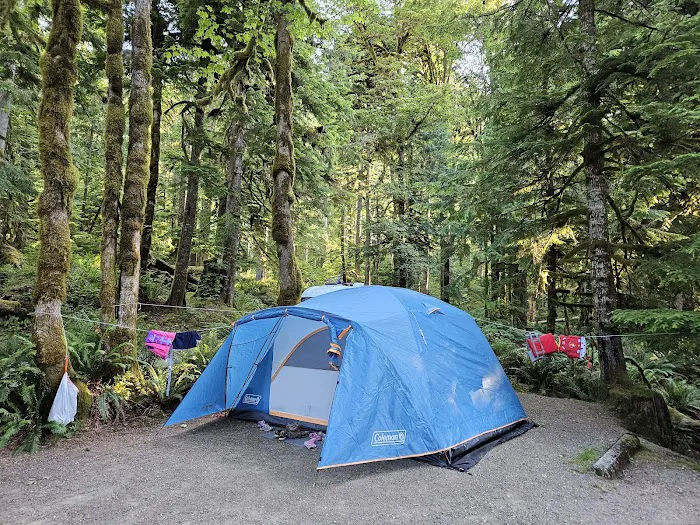 Fairholme Campground Picture 6