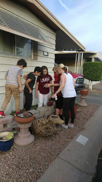 Paradise North Mobile Home Park Picture 3