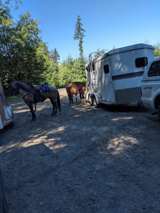 Sadie Creek Campground Picture 2