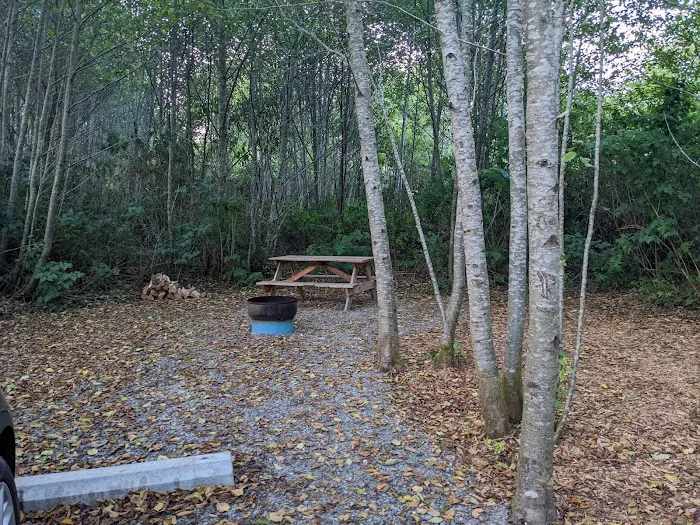Twin Beach Campground Picture 1
