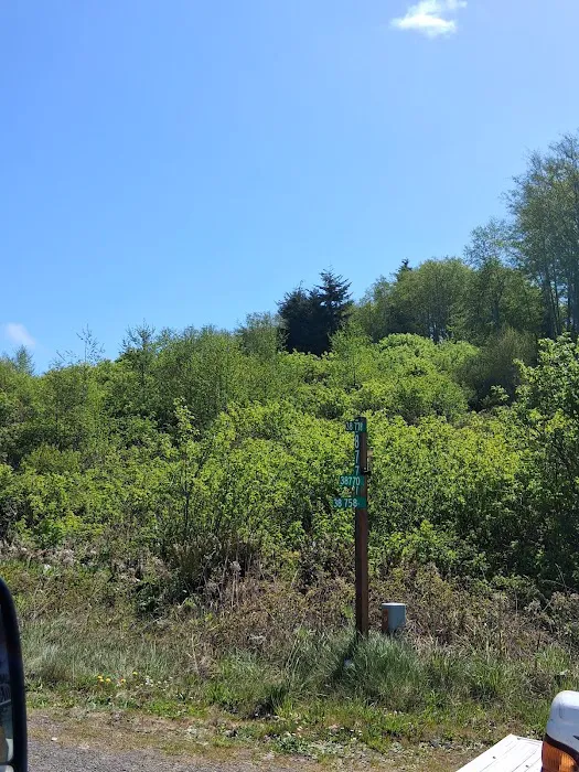 Twin Beach Campground Picture 6