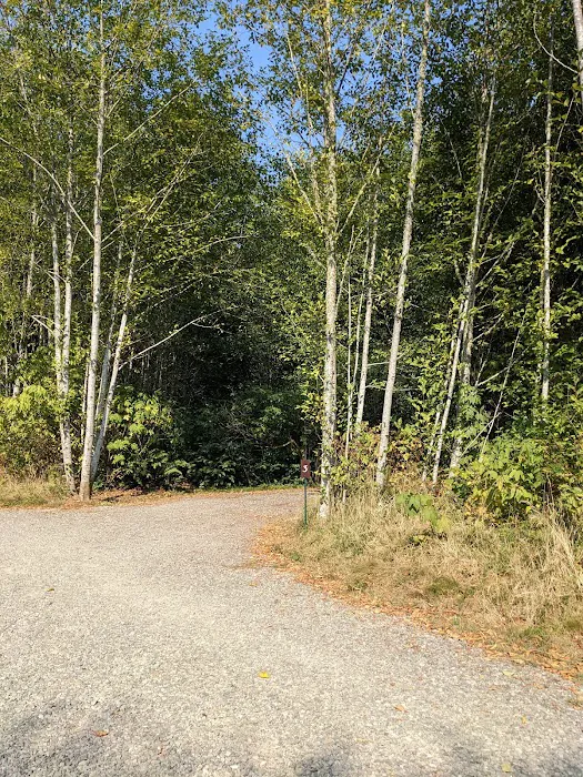 Twin Beach Campground Picture 5