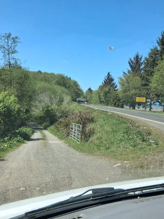 Twin Beach Campground Picture 8