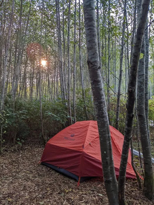 Twin Beach Campground Picture 7