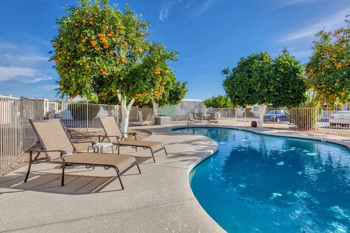 Paradise North Mobile Home Park Phoenix Arizona Picture 2