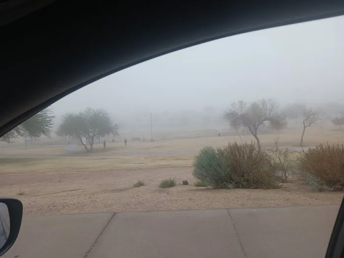 Paradise North Mobile Home Park Phoenix Arizona Picture 8