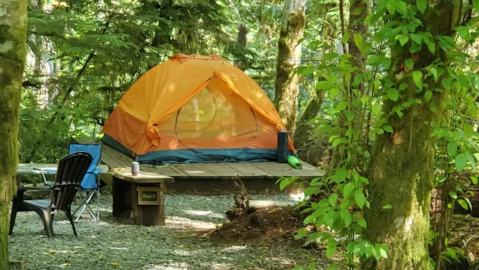 Sol Duc Rainforest Retreat Picture 2