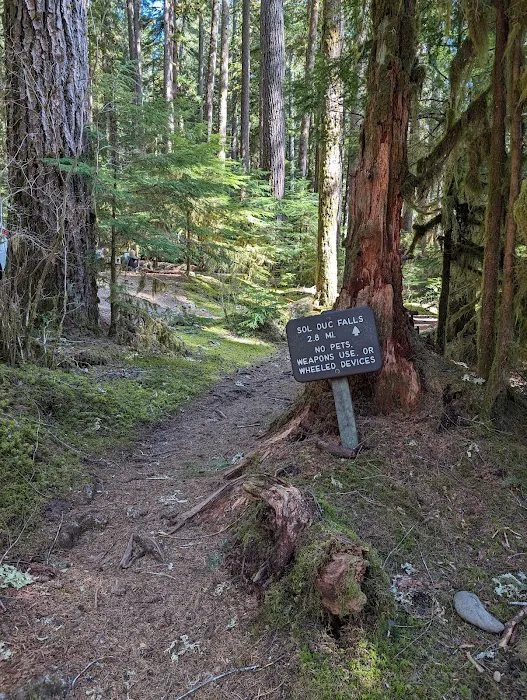 Sol Duc Campground Loop B Entrance Picture 2
