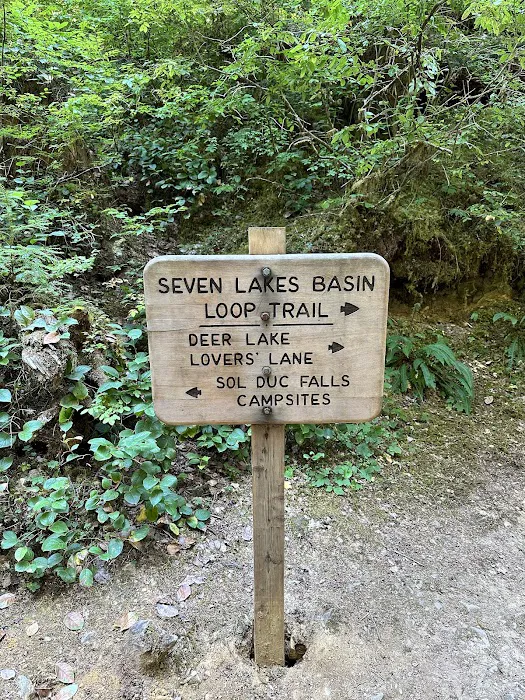 Sol Duc Campground Loop B Entrance Picture 6