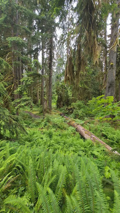 Sol Duc Campground Loop B Entrance Picture 7