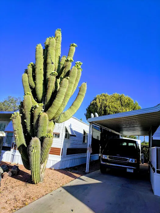 Desert Shadows RV Resort Picture 4