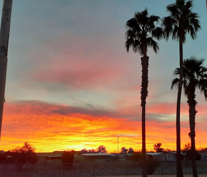 Paradise Shadows Mobile Home Picture 3