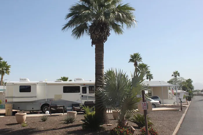 Whispering Palms Picture 2