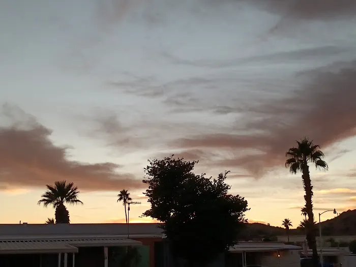 Whispering Palms Picture 6
