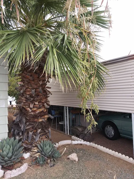 Whispering Palms Picture 8
