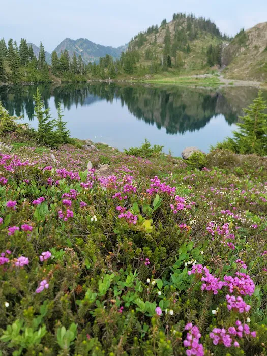 Lunch Lake Picture 2