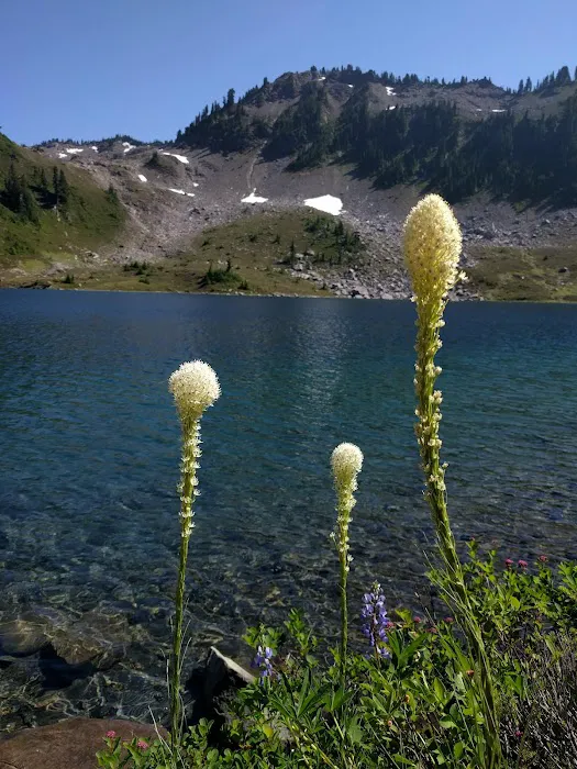 Lunch Lake Picture 9