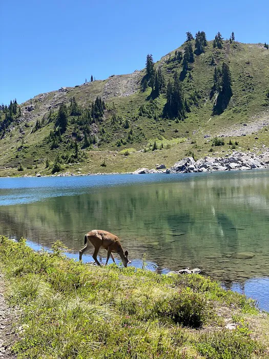 Lunch Lake Picture 8