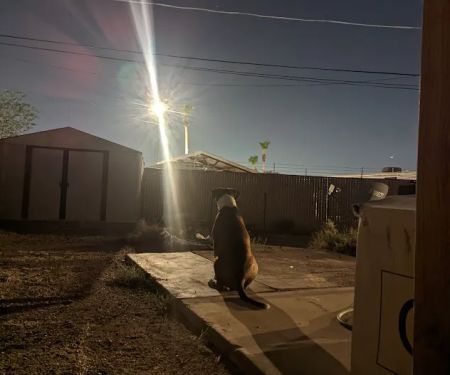 Copa Mobile Home Park