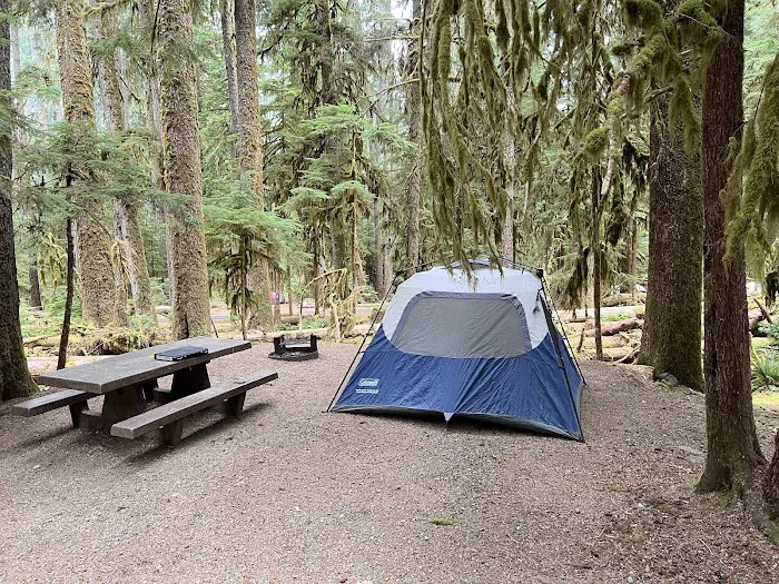 Sol Duc Campground Picture 8