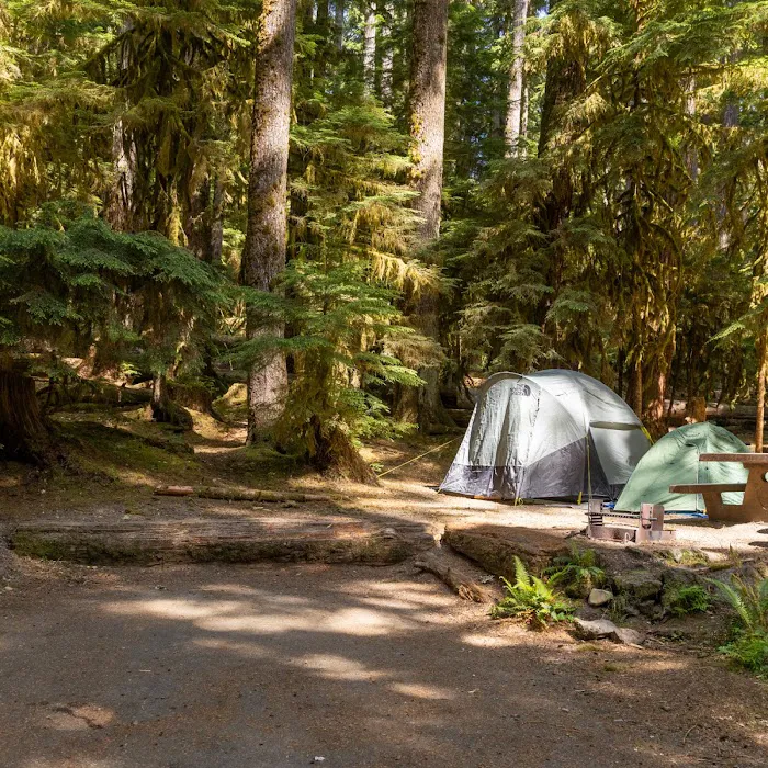 Sol Duc Campground Picture 7