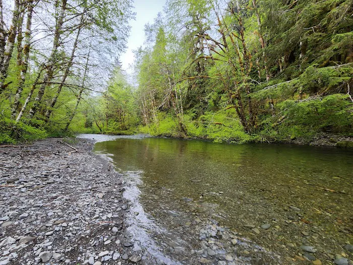 Sol Duc Campground Picture 10