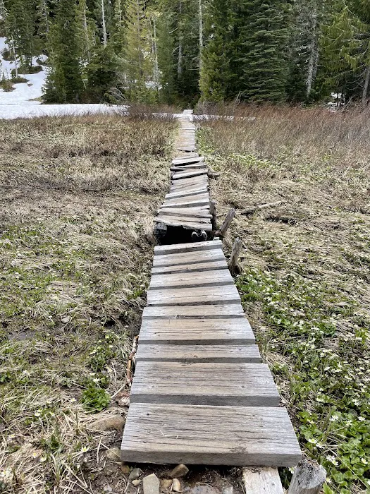 Deer Lake Picture 1
