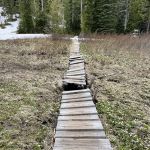 Deer Lake