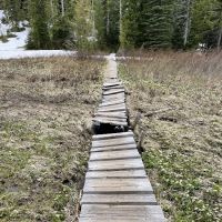 Deer Lake ico