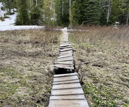 Deer Lake