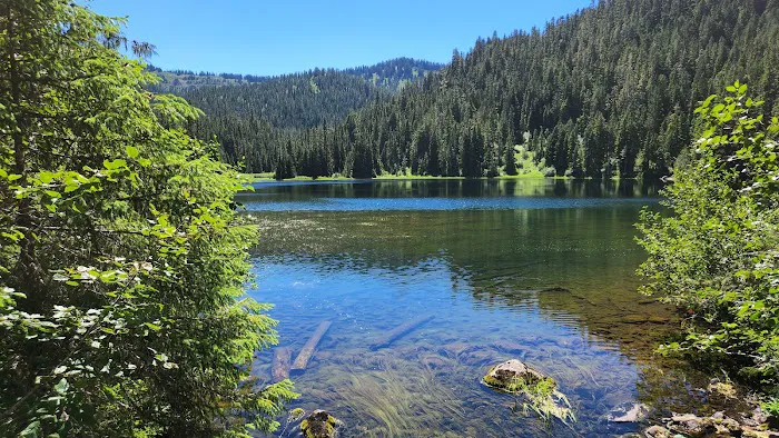 Deer Lake Picture 3