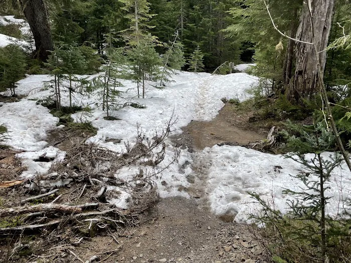 Deer Lake Picture 4