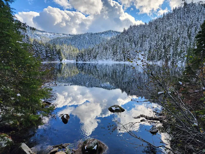 Deer Lake Picture 5