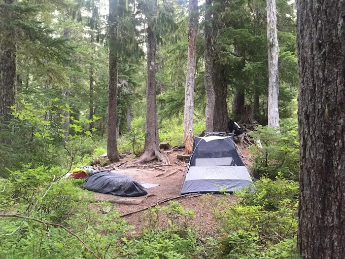 Deer Lake Picture 8