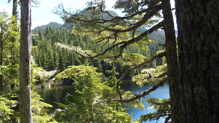 Deer Lake Picture 10