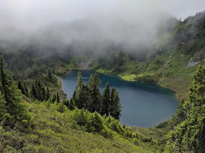 Hoh Lake Picture 1