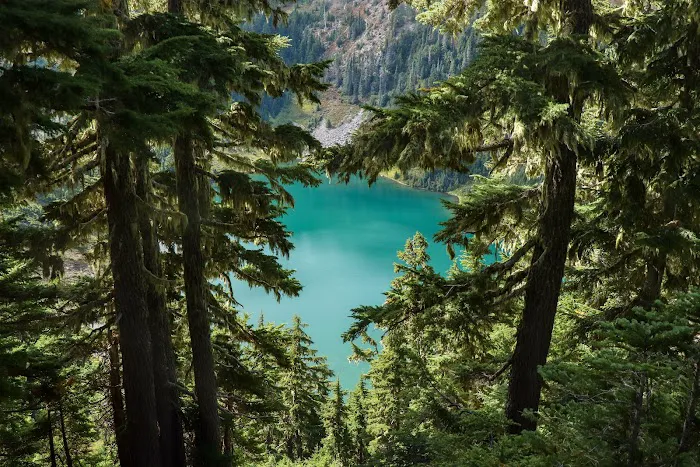 Hoh Lake Picture 6