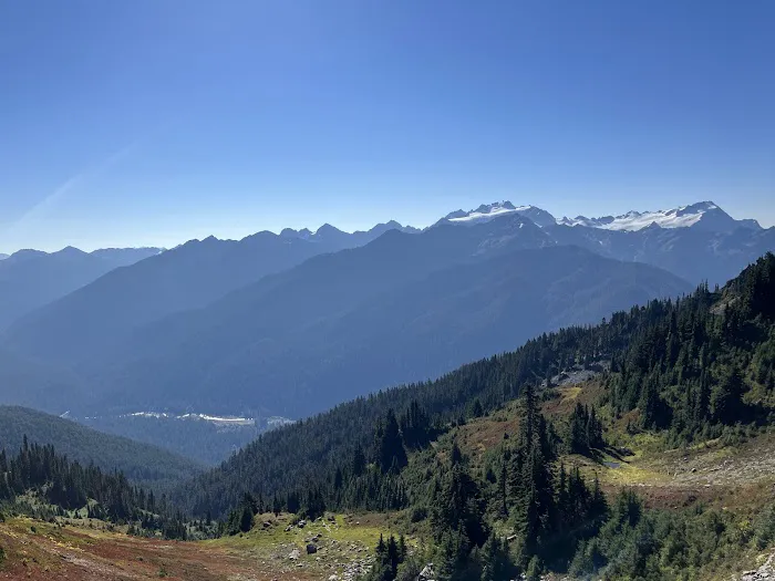 Hoh Lake Picture 4