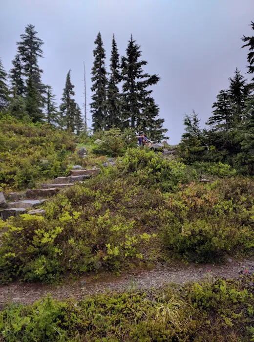 Hoh Lake Picture 7