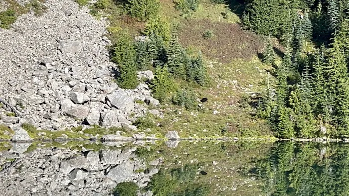 Hoh Lake Picture 9