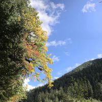 Lewis Meadow Campsite ico
