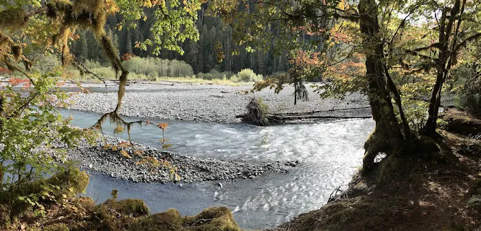 Lewis Meadow Campsite Picture 3