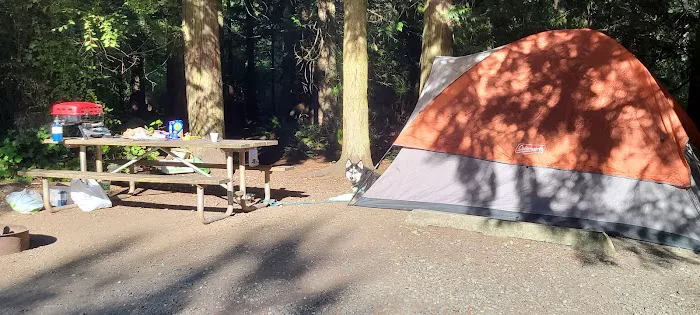 Quarry Pond Campground, Deception Pass State Park Picture 5