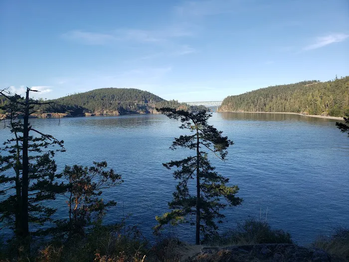 Cranberry Lake Campground, Deception Pass State Park Picture 2
