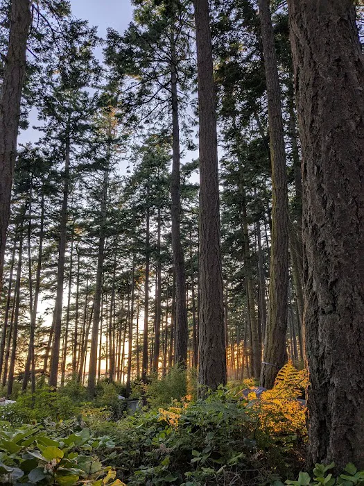 Cranberry Lake Campground, Deception Pass State Park Picture 8