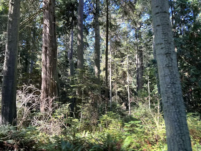 Cranberry Lake Campground, Deception Pass State Park Picture 10